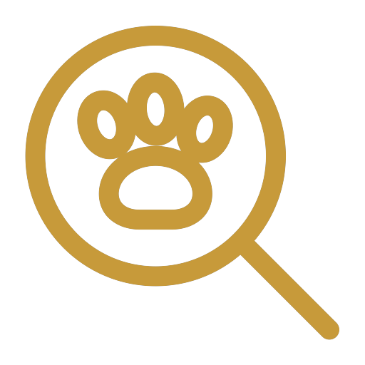 Outlined magnifying glass over a paw print icon