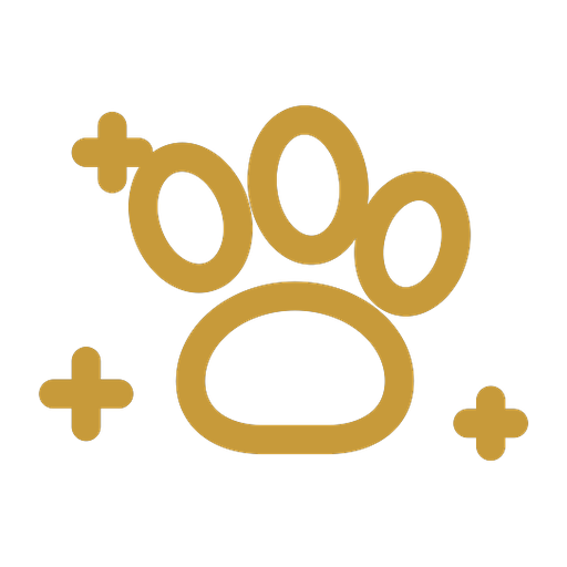 Outlined paw print with sparkles icon